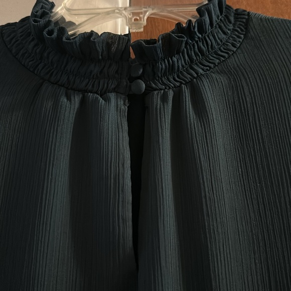 Ann Taylor Ruffle Blouse - Picture 5 of 5